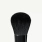 A19 Pro Brush - Blush Brush